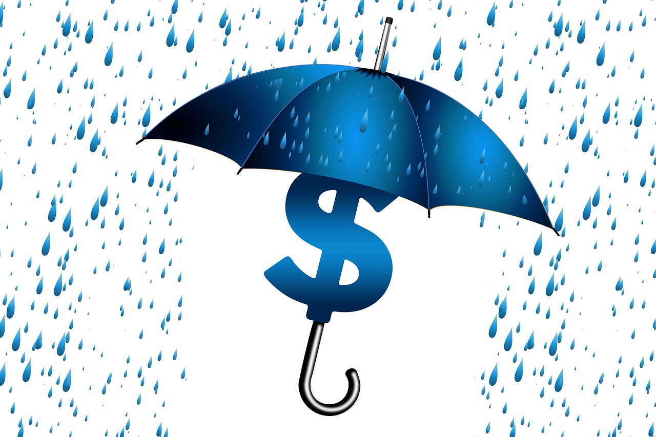 umbrella, business, secure, idea, rain, dollar, concept, money, finance, protection, wealth, bank, investments, security, financial, currency, cash, success, symbol, icon, savings, design, weather, banking, protect, profit, rich, black, apartment, nature, relationships, connections, payment, insurance, global, online, partnership
