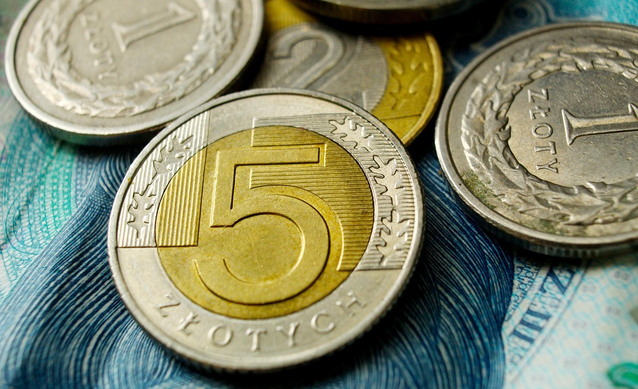 money, coins, polish zloty, cash, polish zloty, polish zloty, polish zloty, polish zloty, polish zloty